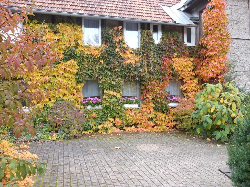 Westfalenhof Garni Willingen  Buitenkant foto