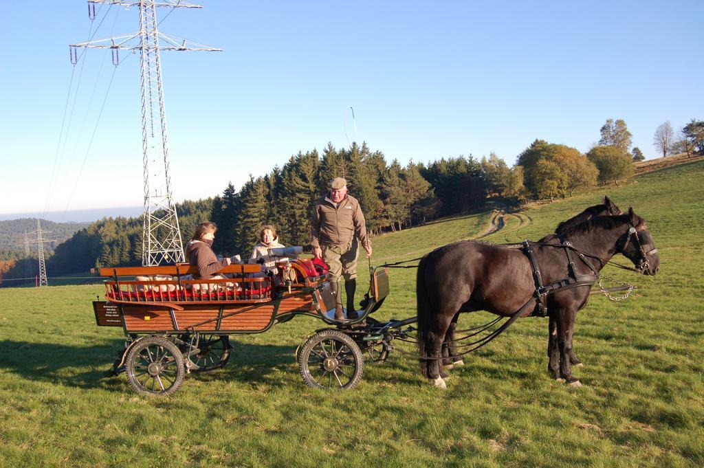Westfalenhof Garni Willingen  Buitenkant foto