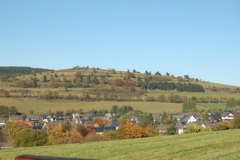 Westfalenhof Garni Willingen  Buitenkant foto