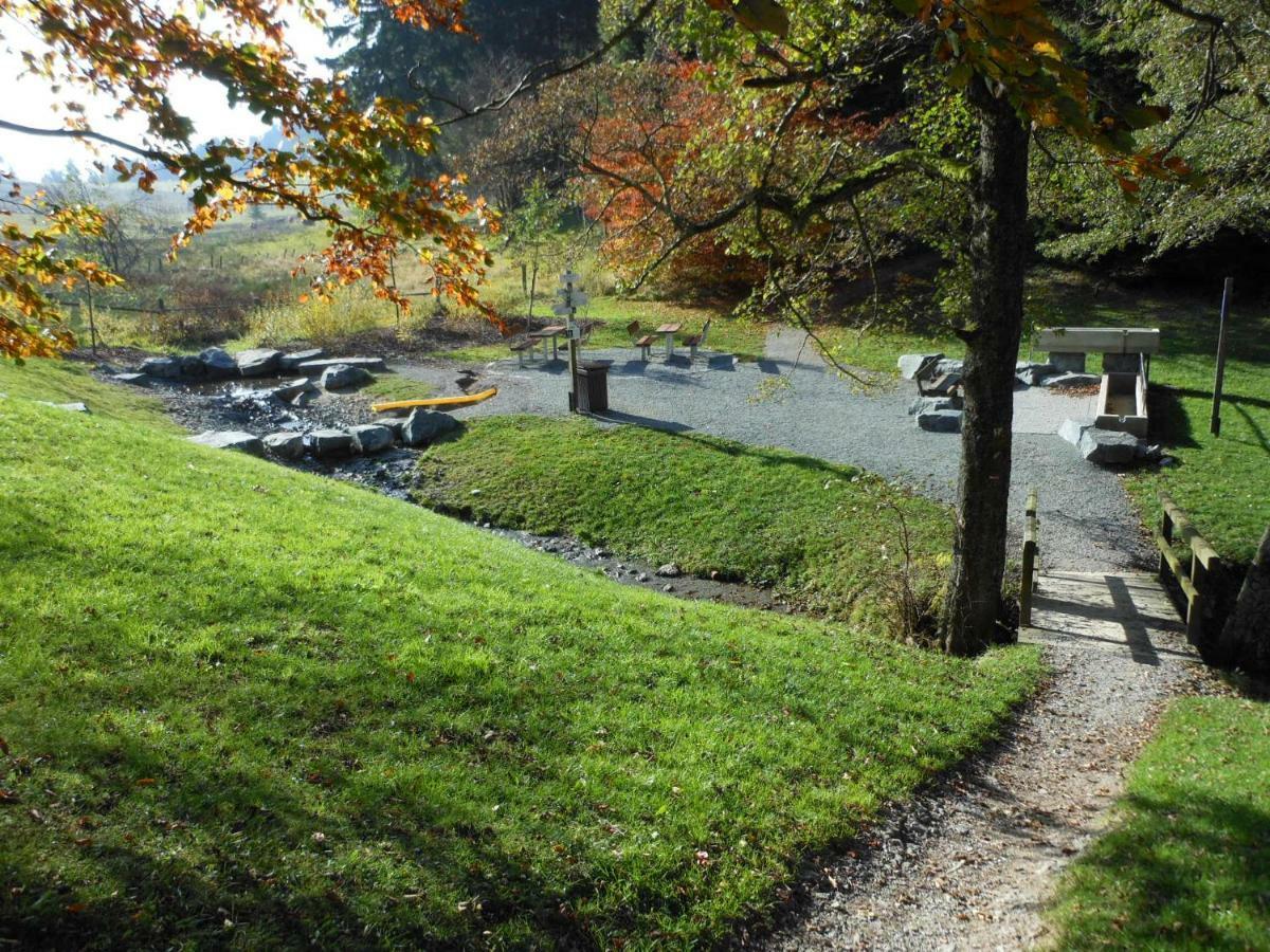 Westfalenhof Garni Willingen  Buitenkant foto